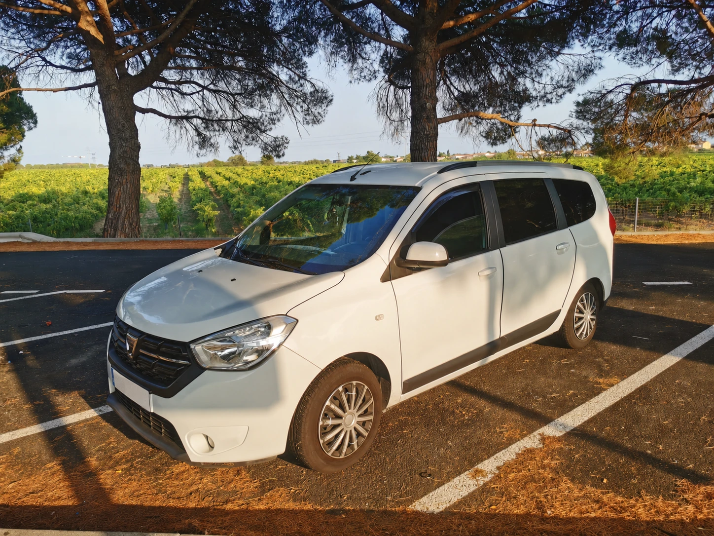 Dacia Lodgy 1.6(LPG) 7 места, снимка 3 - Автомобили и джипове - 55398186