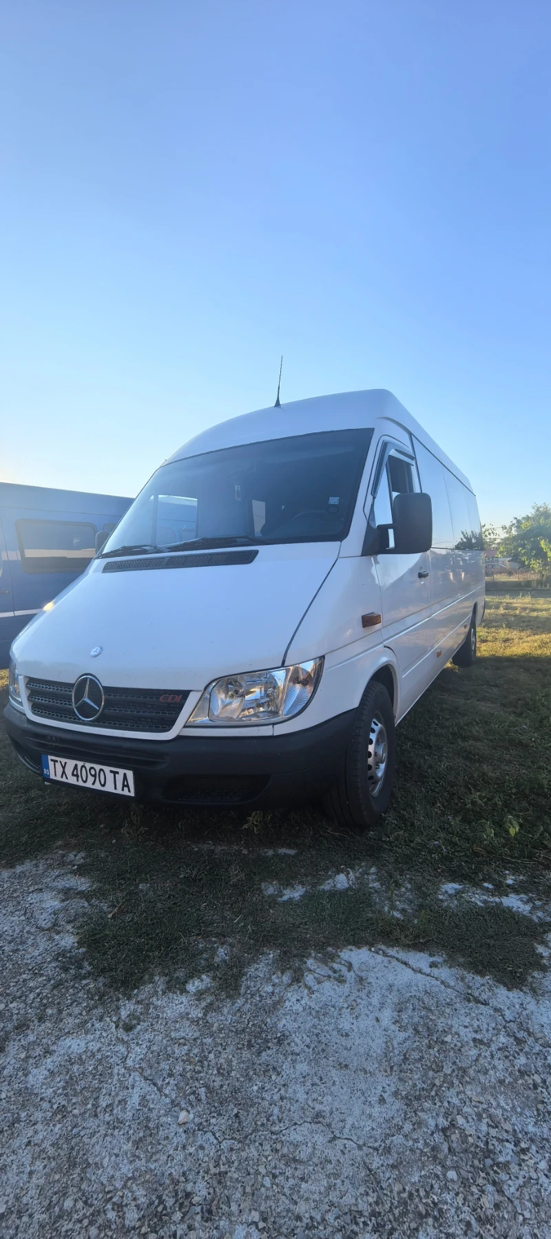 Mercedes-Benz 313 313CDI, снимка 3 - Бусове и автобуси - 55674754