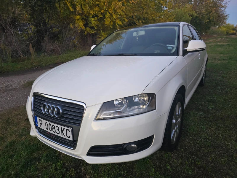 Audi A3, снимка 7 - Автомобили и джипове - 53143194