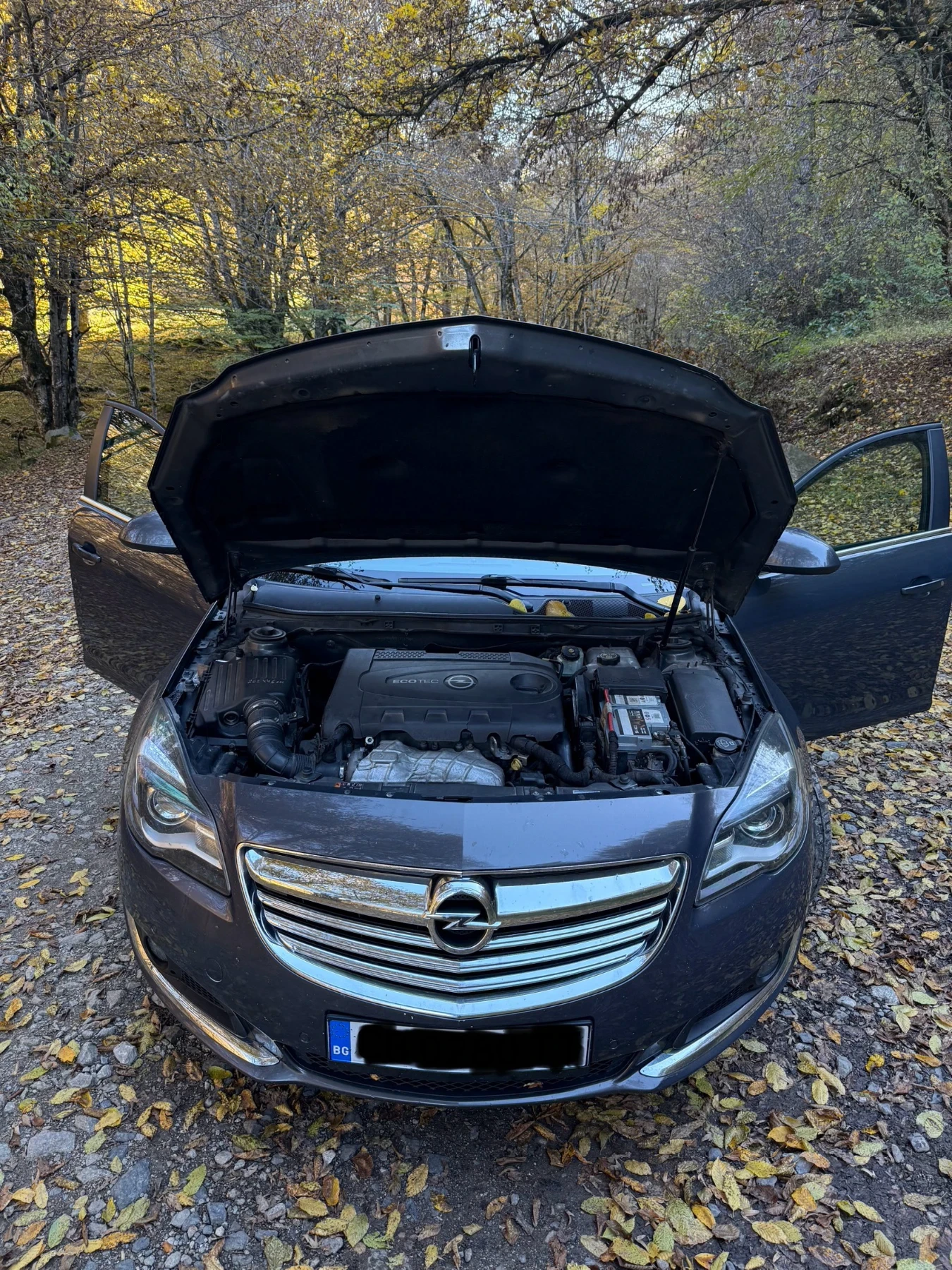 Opel Insignia 2.0CDTI ST FACELIFT! | Mobile.bg — изображение 15