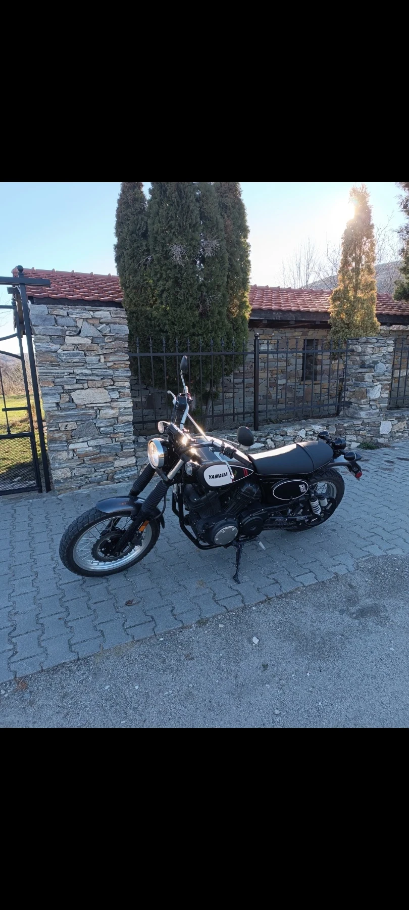 Yamaha Xvs YAMAHA SCR 950 2017г - изображение 4