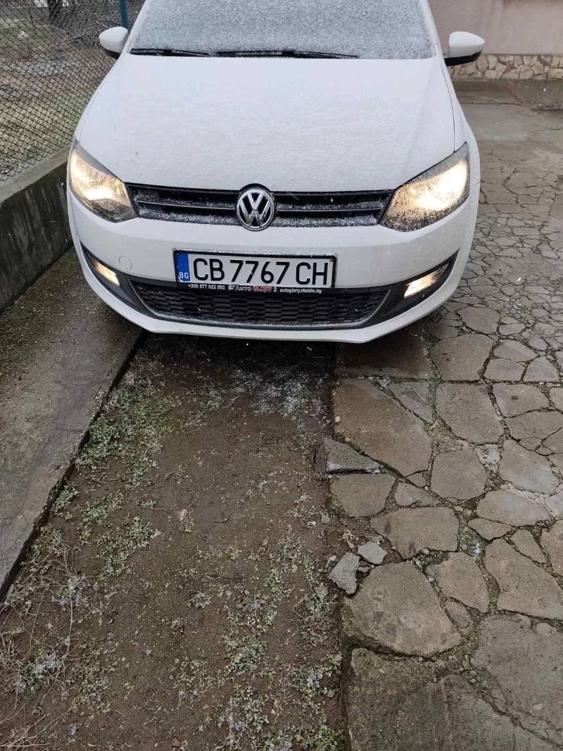 VW Polo