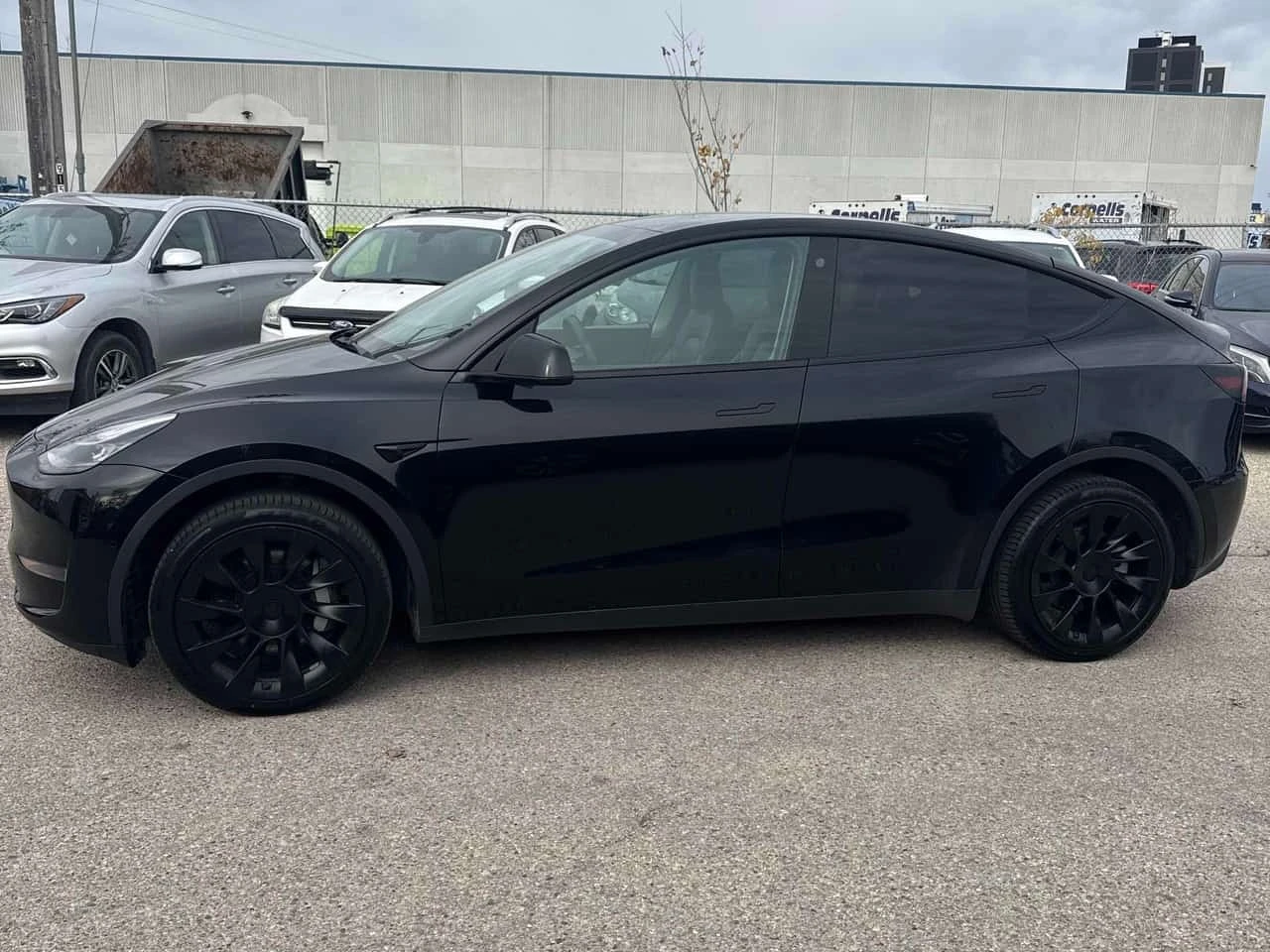 Tesla Model Y LONG RANGE * ��� ���������* ���� ����*  | Mobile.bg � ����������� 3