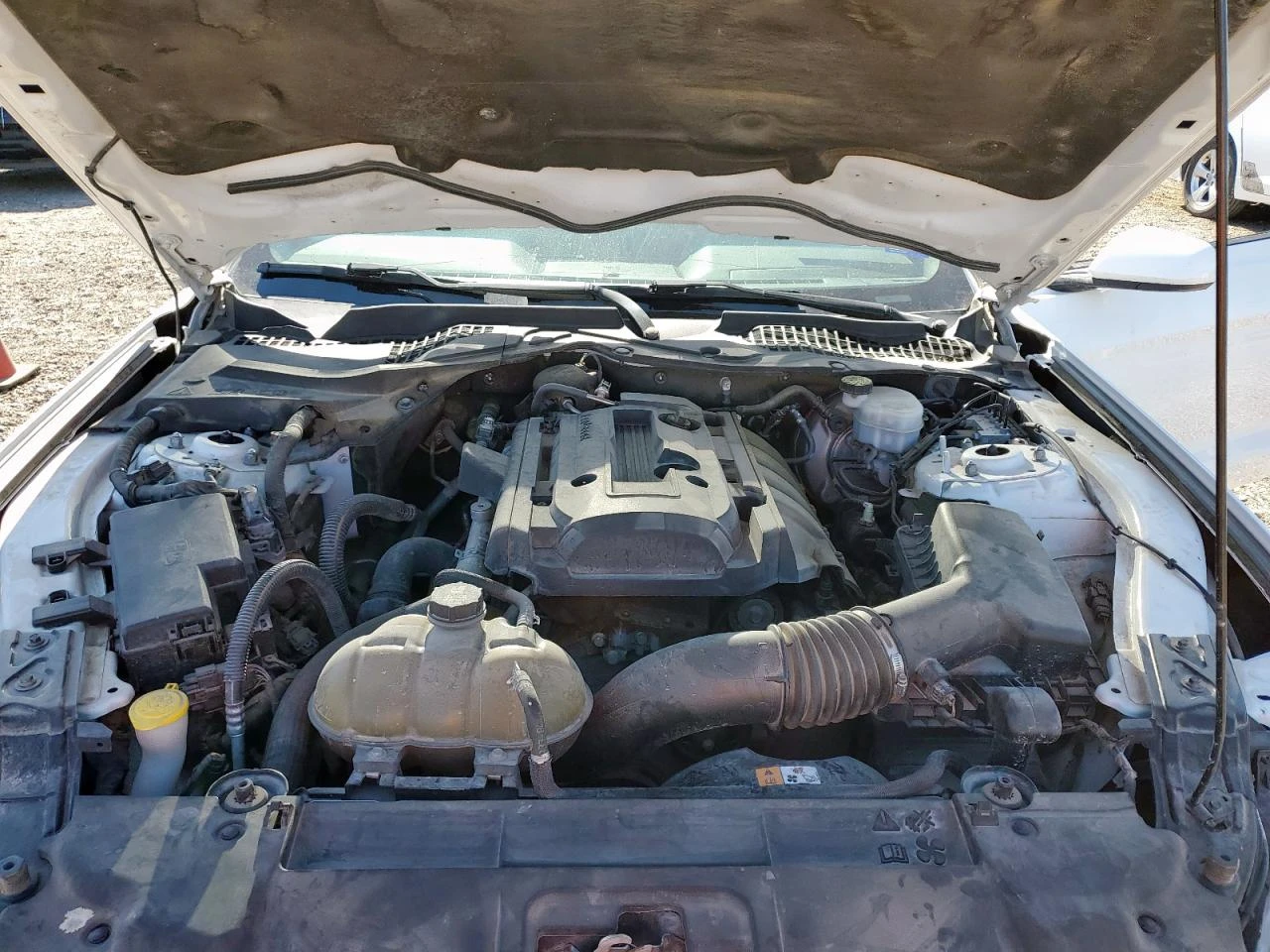 Ford Mustang RWD /  /  /  | Mobile.bg   11