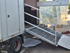 Iveco Daily 65C Кемпер каравана за коне, снимка 5