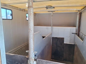 Iveco Daily 65C Кемпер каравана за коне, снимка 15