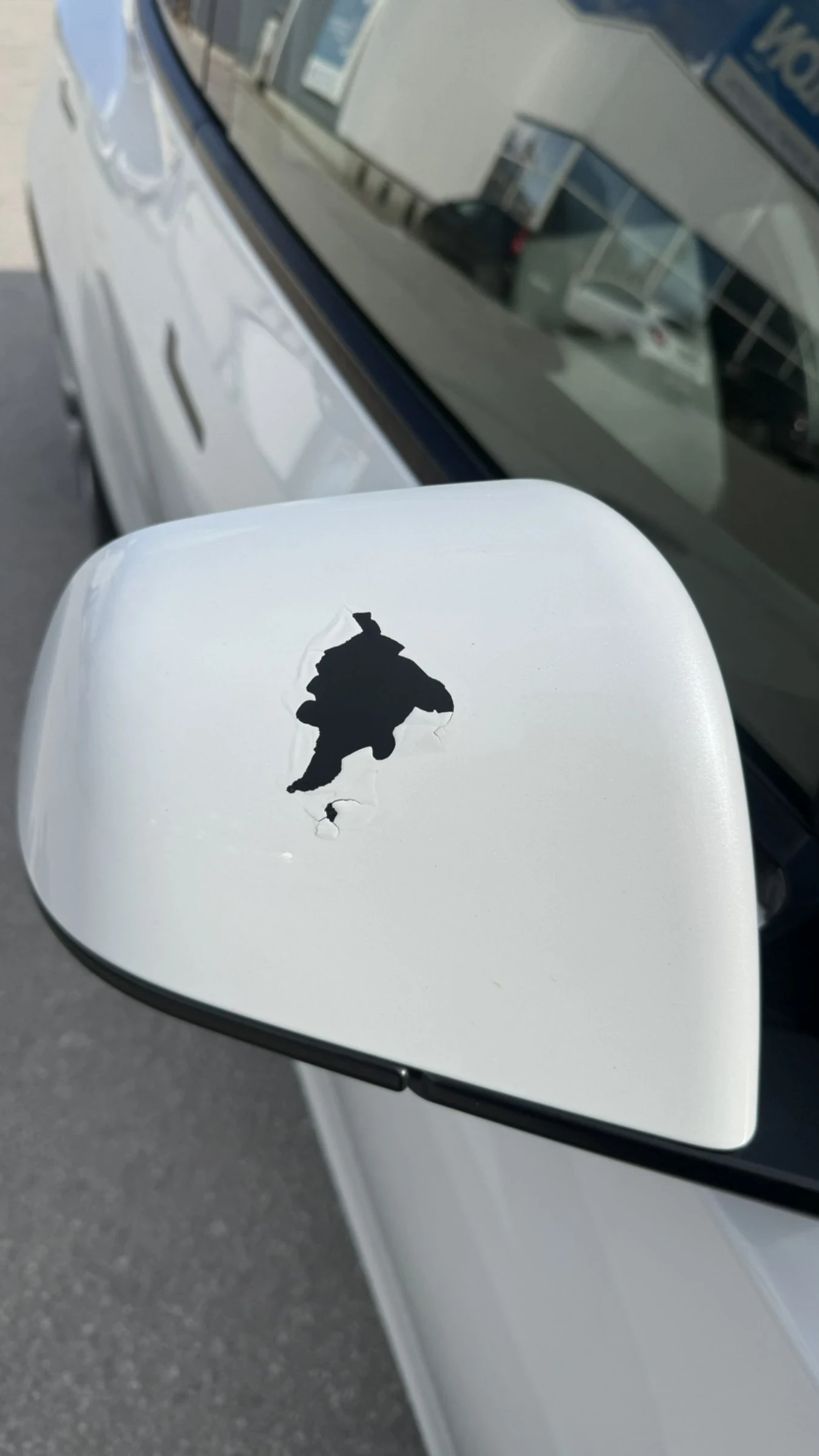 Tesla Model Y Long Range Dual Motor AWD 513ps, снимка 8 - Автомобили и джипове - 53862797