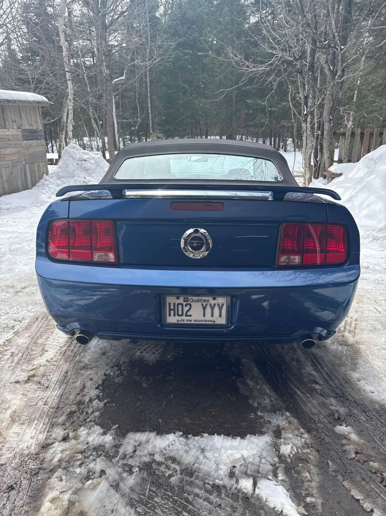 Ford Mustang * GT * CARFAX * ЦЕНА ДО БГ, снимка 4 - Автомобили и джипове - 53999197