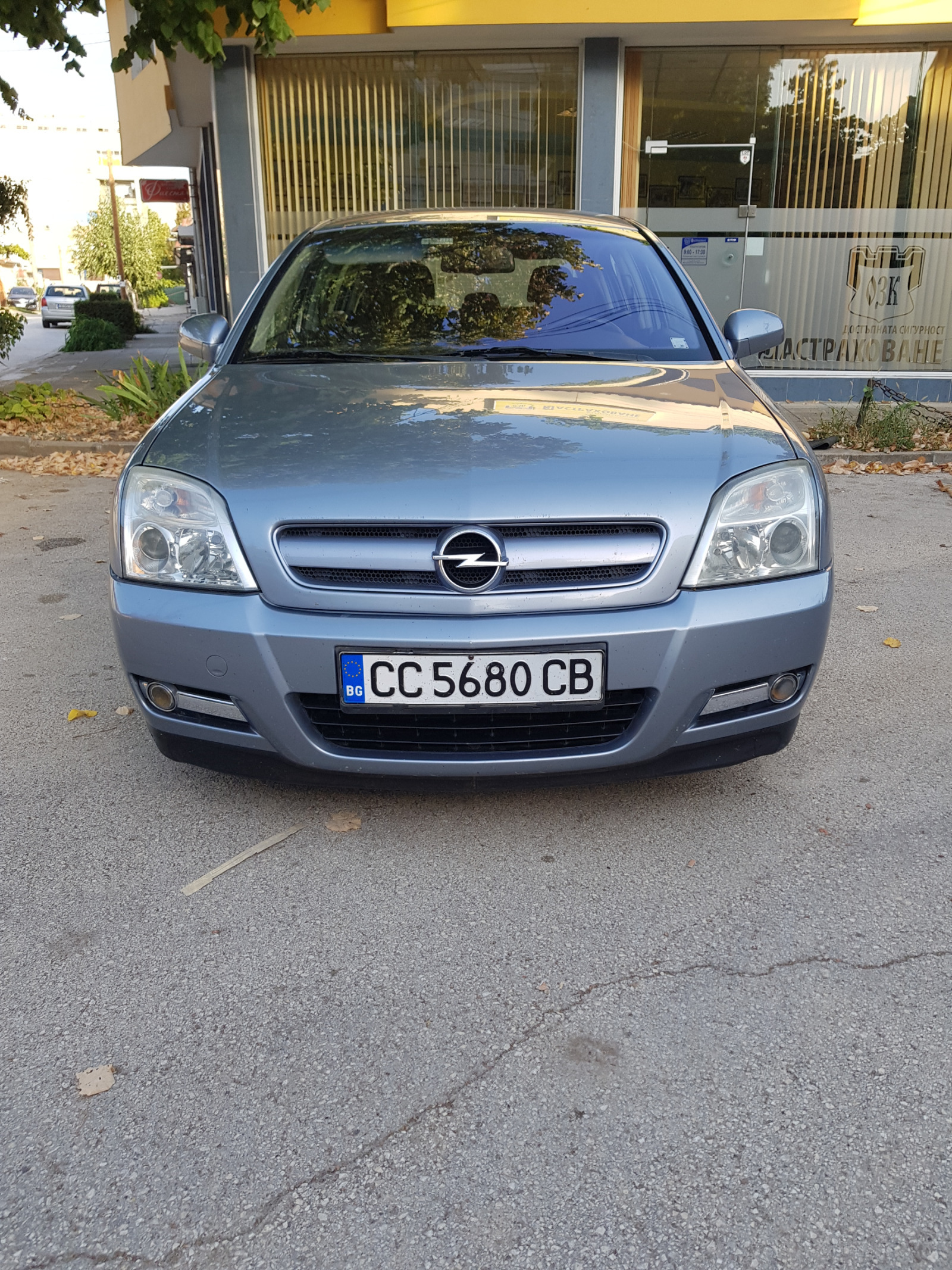 Opel Signum  - изображение 1