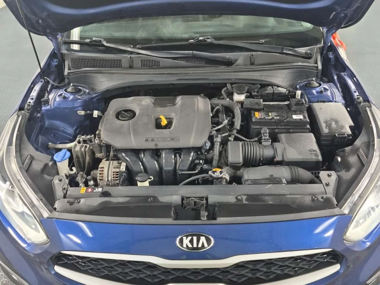 Kia Forte  Ivt Ex * CARFAX * ����������� | Mobile.bg � ����������� 15