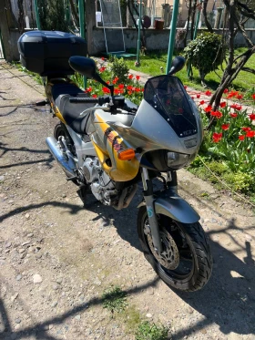 Yamaha Tdm 850 | Auto.bg — изображение 2