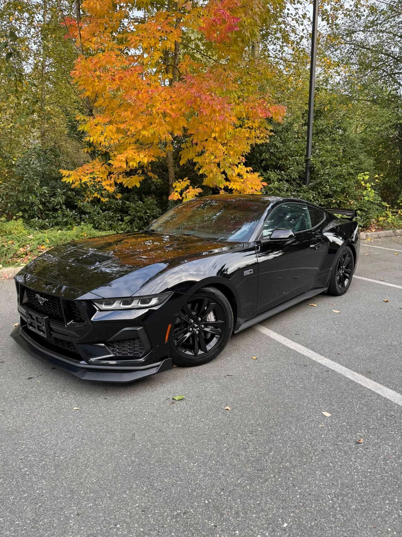 Ford Mustang * GT * CARFAX * ����� �� ����������� | Mobile.bg � ����������� 3