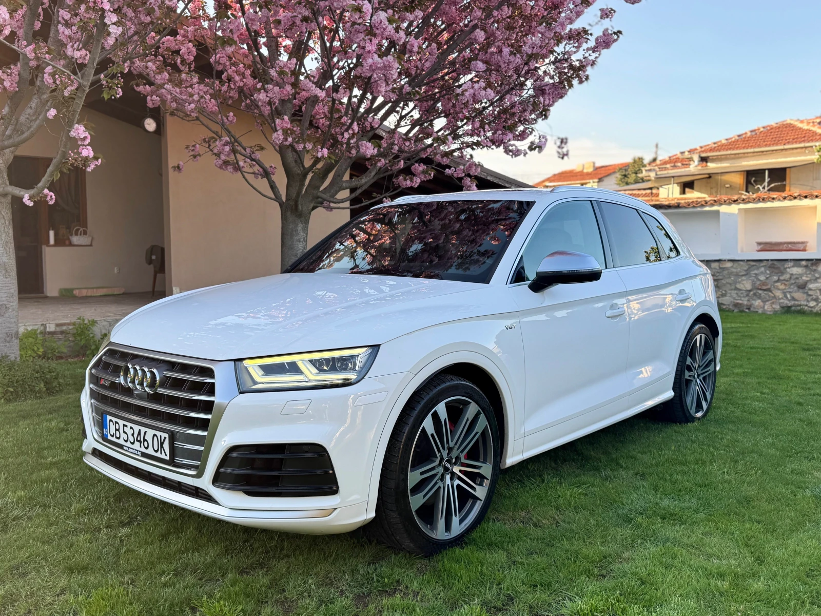 Audi SQ5 Carbon* B&O* 360* Pano* HuD* 