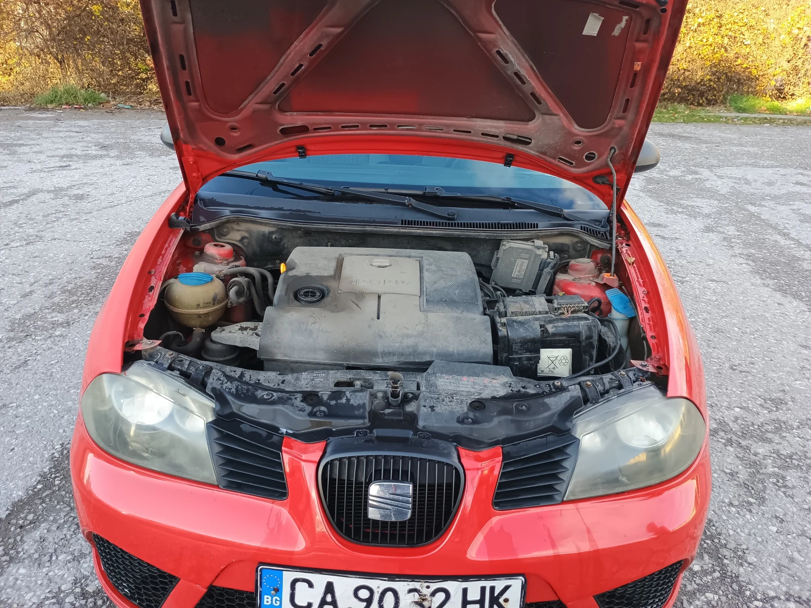 Seat Ibiza N1 - изображение 9