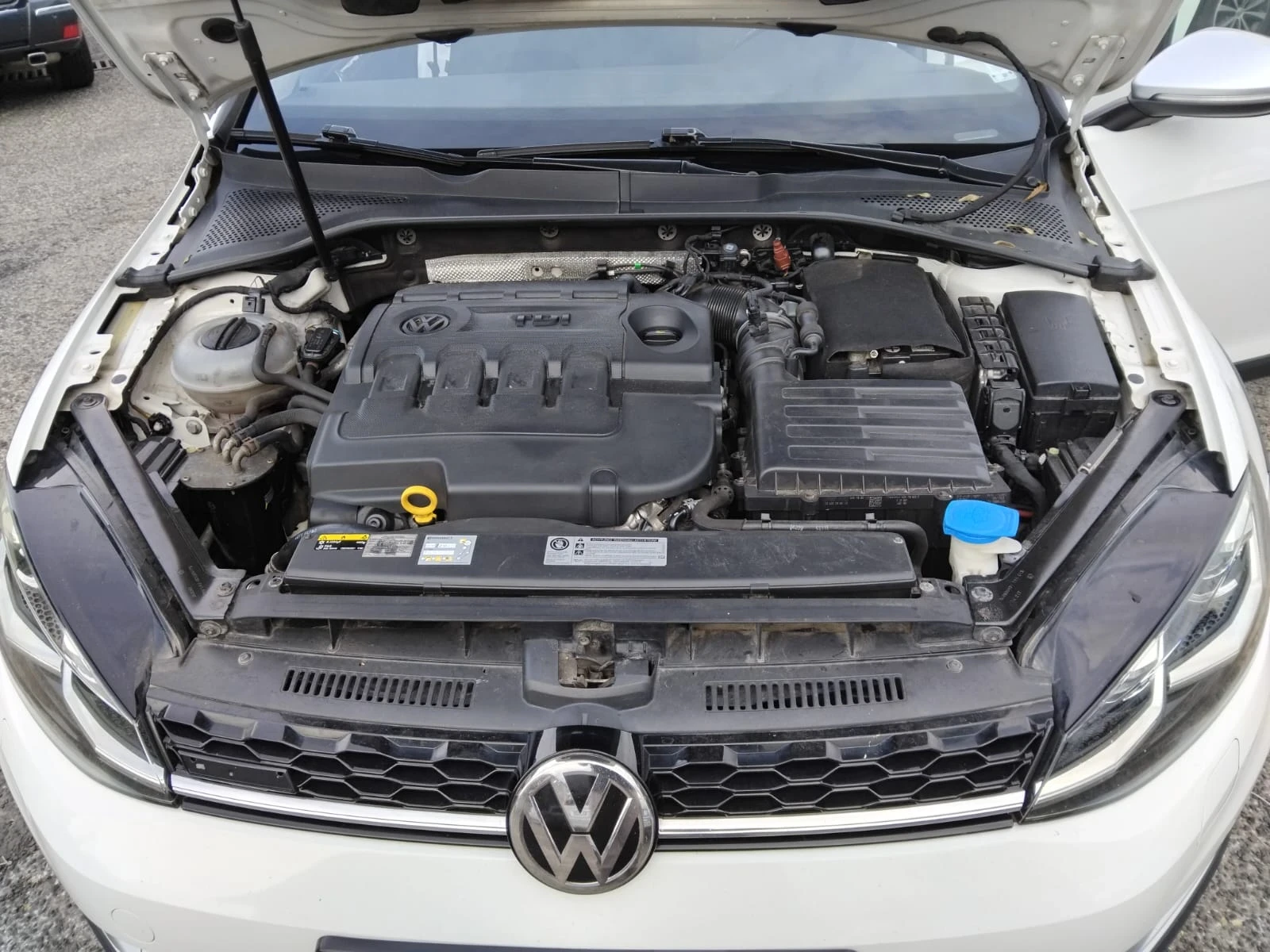 VW Golf Alltrack 2.0 TDI 184��.4Motion | Mobile.bg � ����������� 14