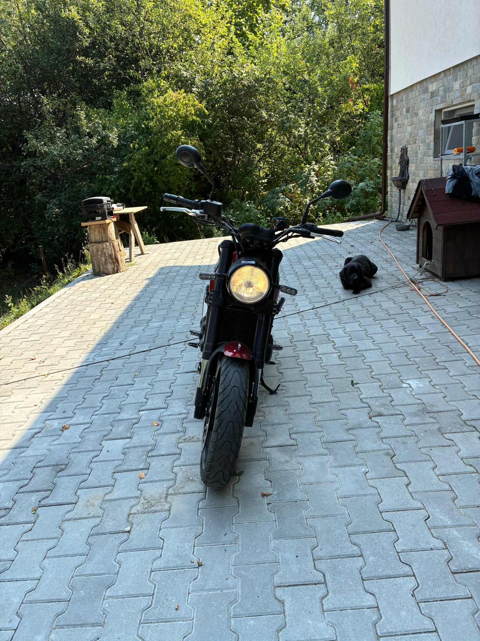 Benelli 500 Leonsio 500, снимка 2 - Мотоциклети и мототехника - 55969902