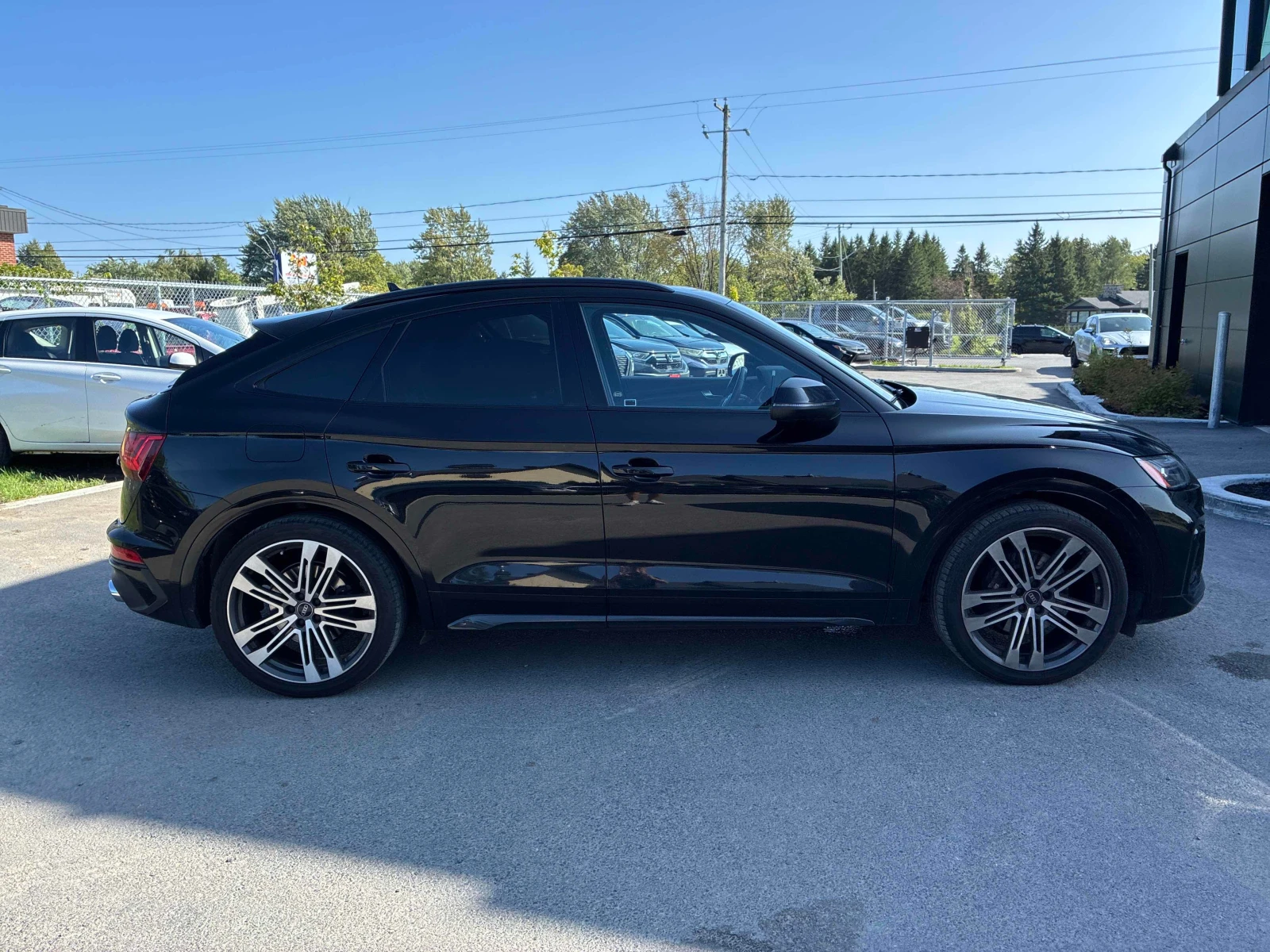 Audi SQ5 Progressiv | CARFAX | БЕЗ ИНЦИДЕНТИ, снимка 4 - Автомобили и джипове - 56039865