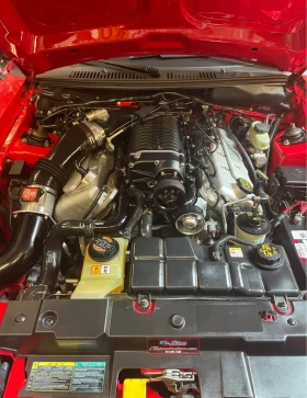Ford Mustang Cobra Terminator * * CARFAX * * АВТОКРЕДИТ * *  - 66500 лв. / 34000.91 € - 61703196 6