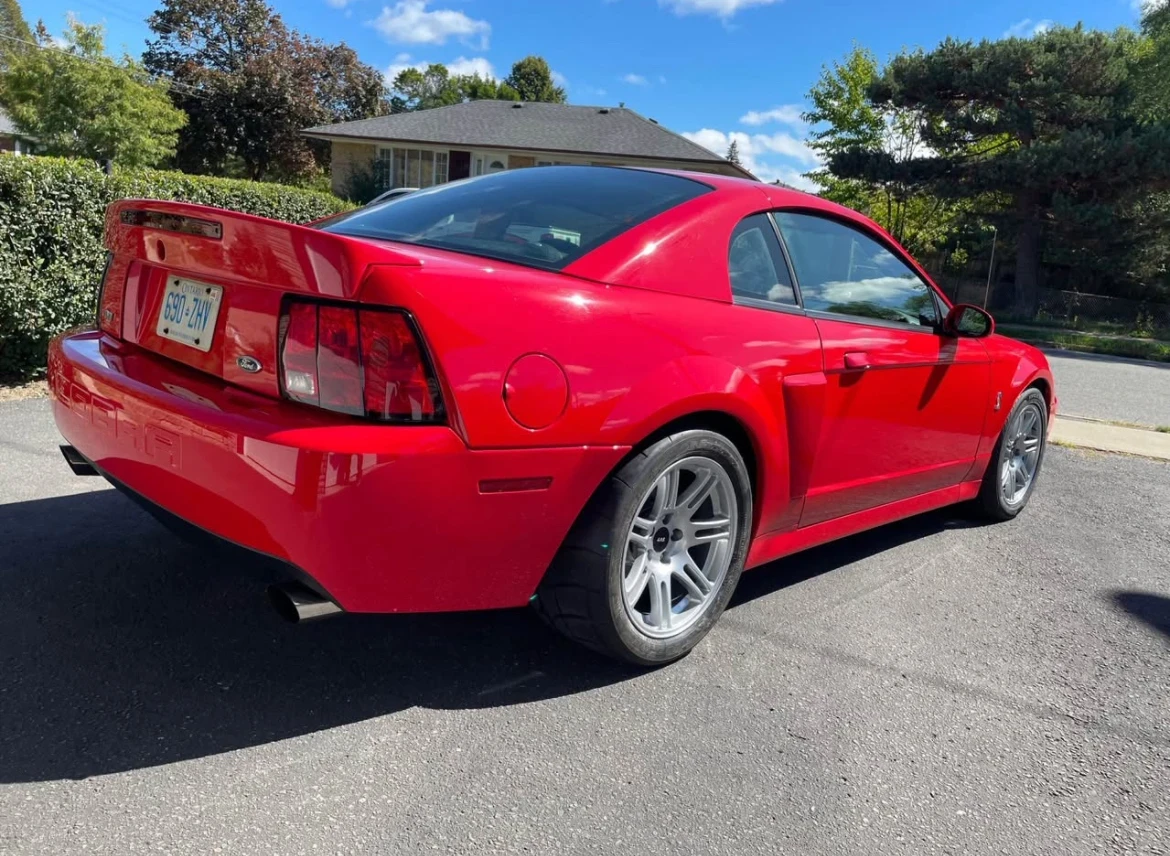 Ford Mustang Cobra Terminator * * CARFAX * * АВТОКРЕДИТ * *  - изображение 3