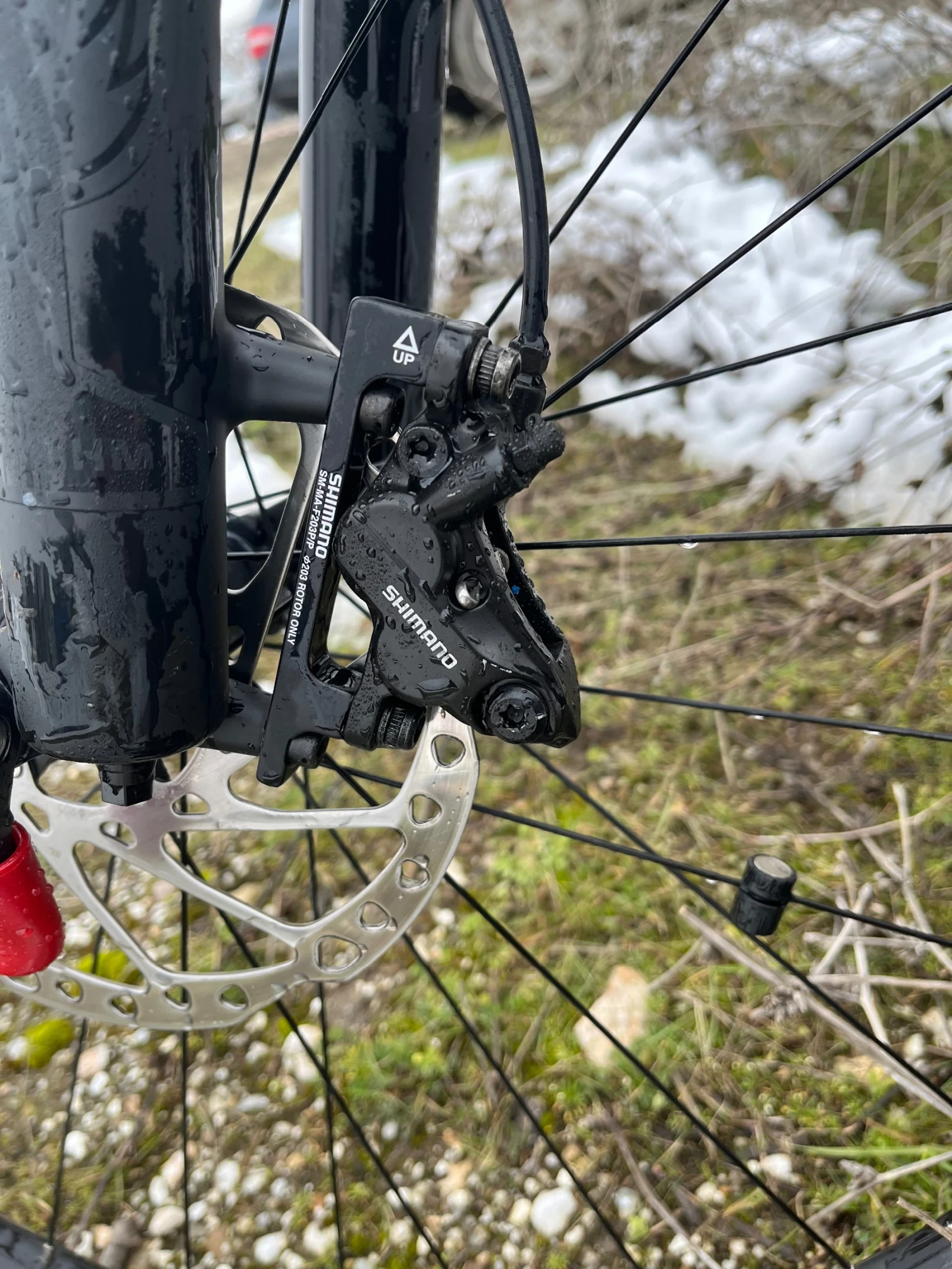 ������� | Mobile.bg � ����������� 12