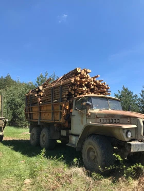 Ural 4320 Самосвал, снимка 6