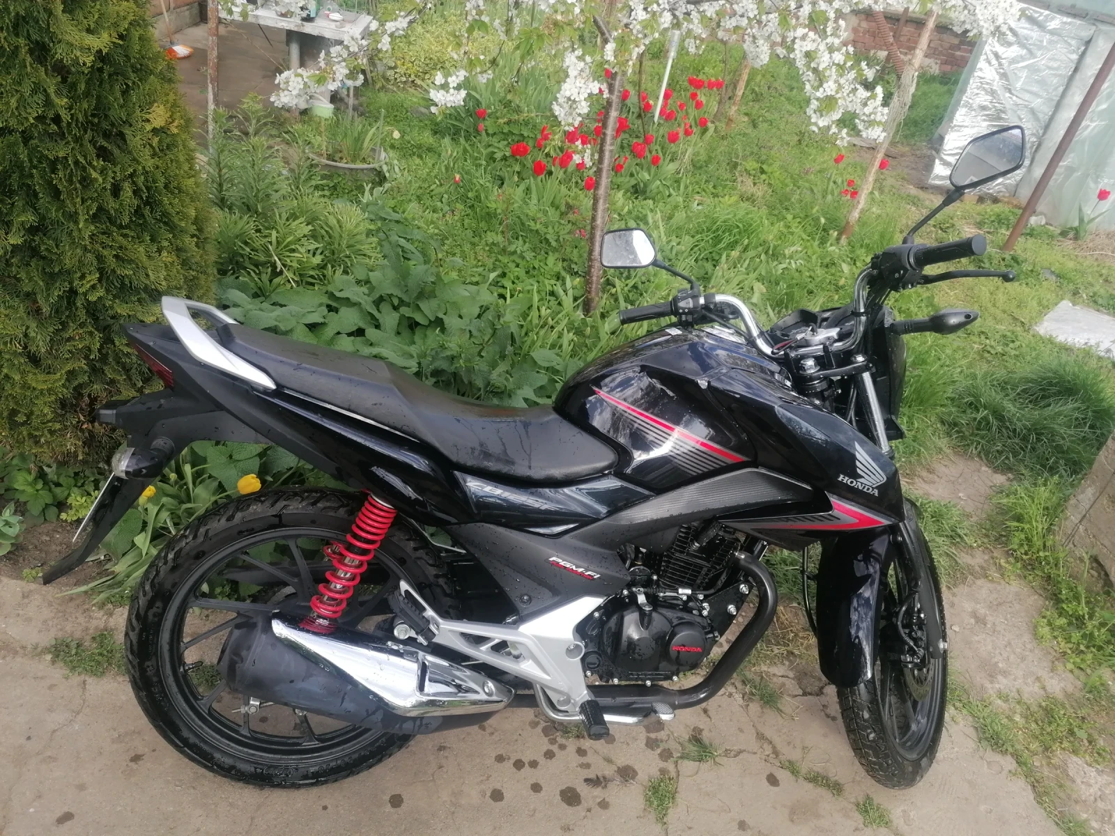 Honda Cbf CB125F