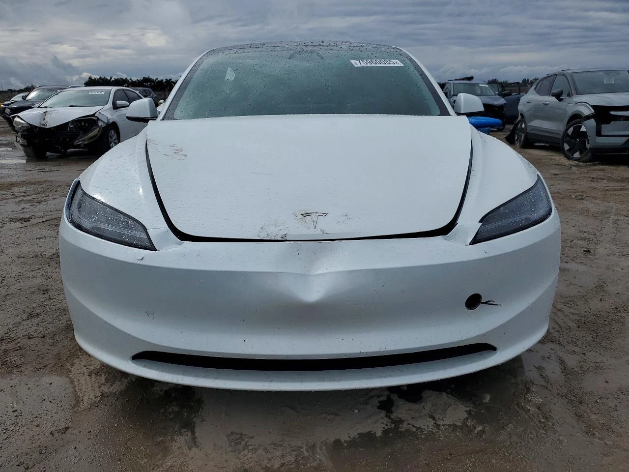 Tesla Model 3, снимка 5 - Автомобили и джипове - 54664144