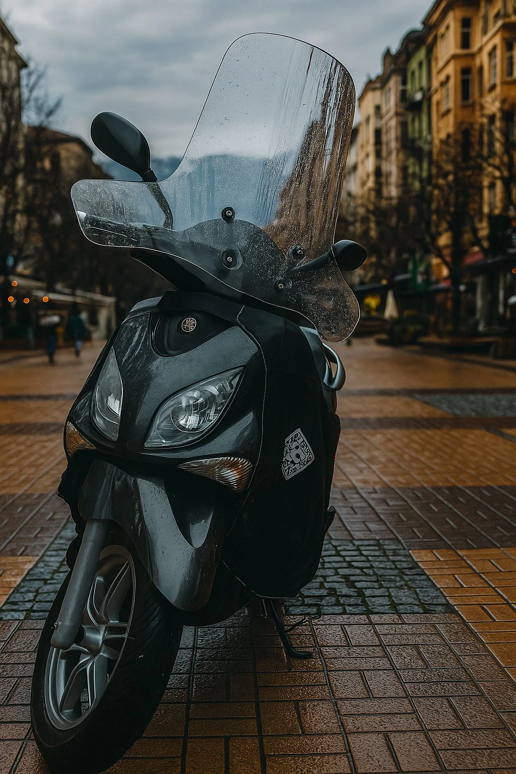 Yamaha X-City VP250, снимка 10 - Мотоциклети и мототехника - 54261157