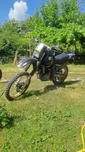     Suzuki Dr