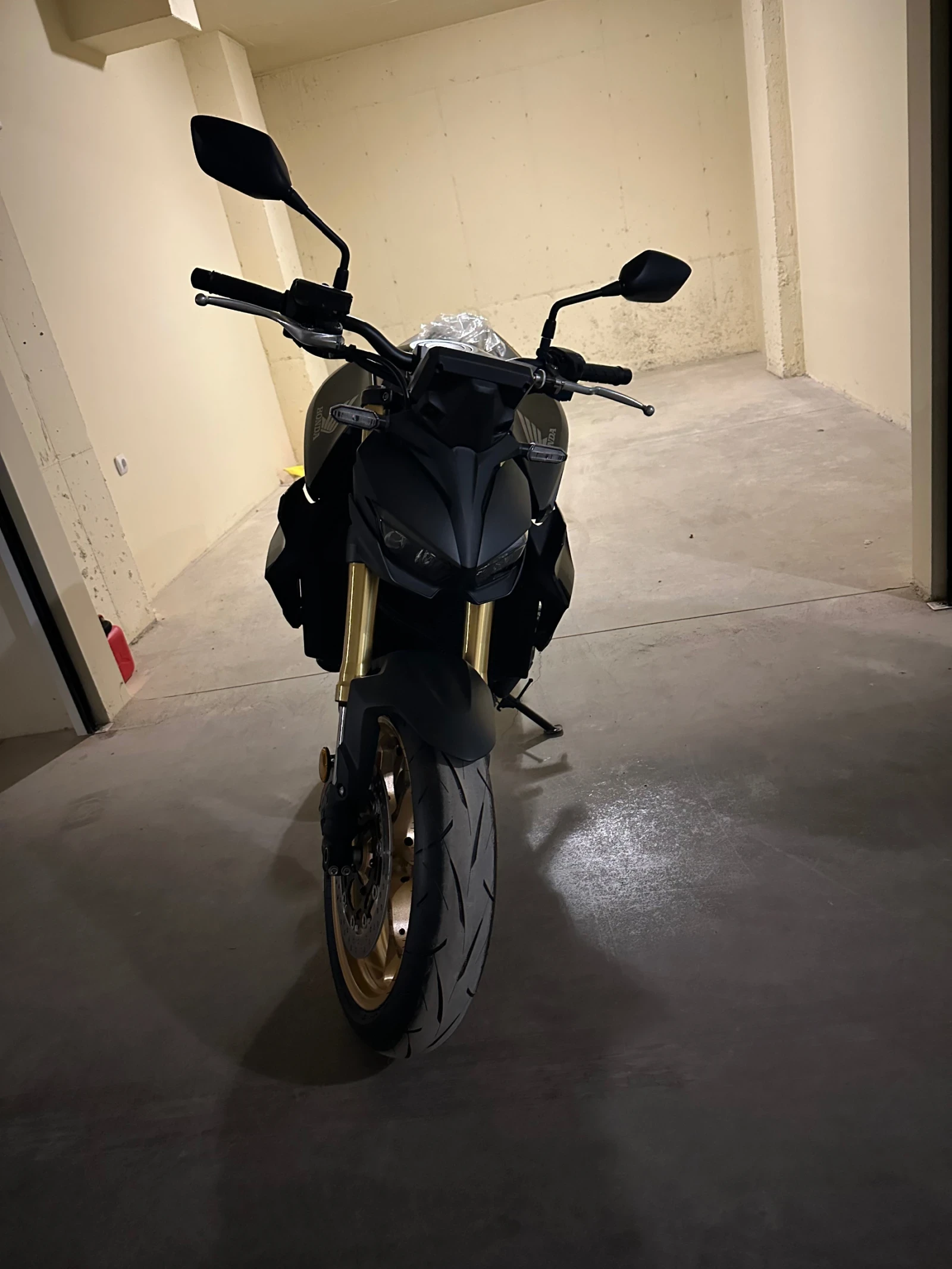 Honda Hornet