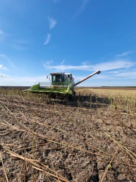  Claas MEGA 204 4x4 | Mobile.bg    6