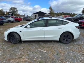 Tesla Model 3 * RWD * CARFAX * ����� �� ����������� | Mobile.bg � ����� ������ 2