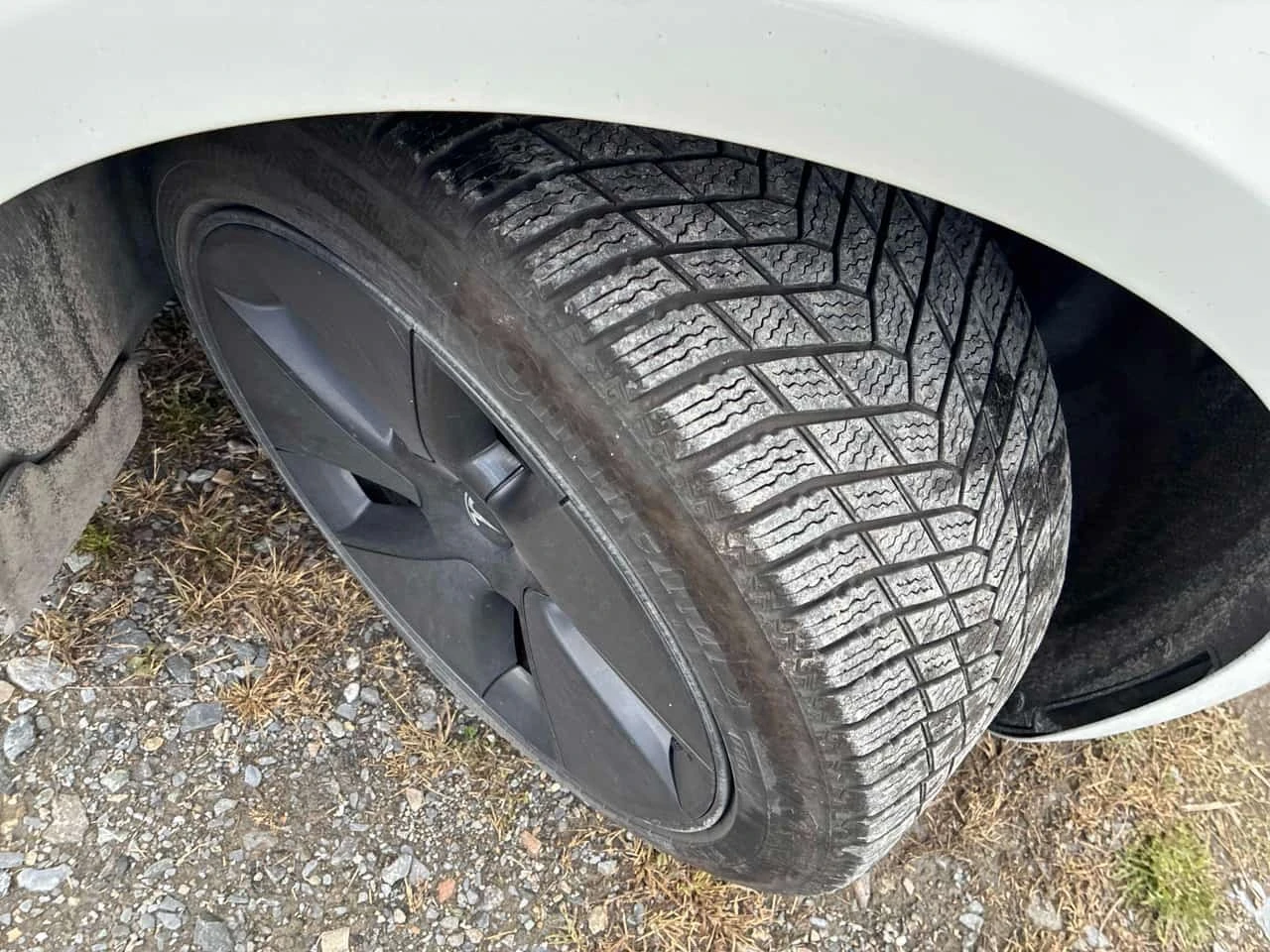 Tesla Model 3 * RWD * CARFAX * ����� �� ����������� | Mobile.bg � ����������� 7