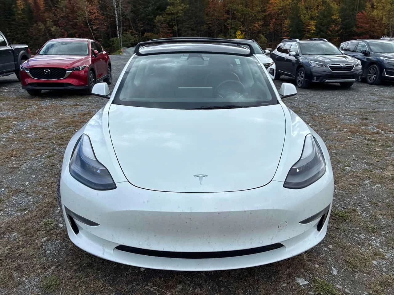 Tesla Model 3 * RWD * CARFAX * ����� �� ����������� | Mobile.bg � ����������� 6