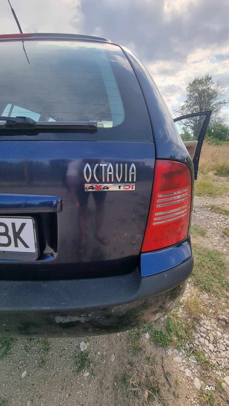Skoda Octavia 4x4, снимка 1 - Автомобили и джипове - 46297027