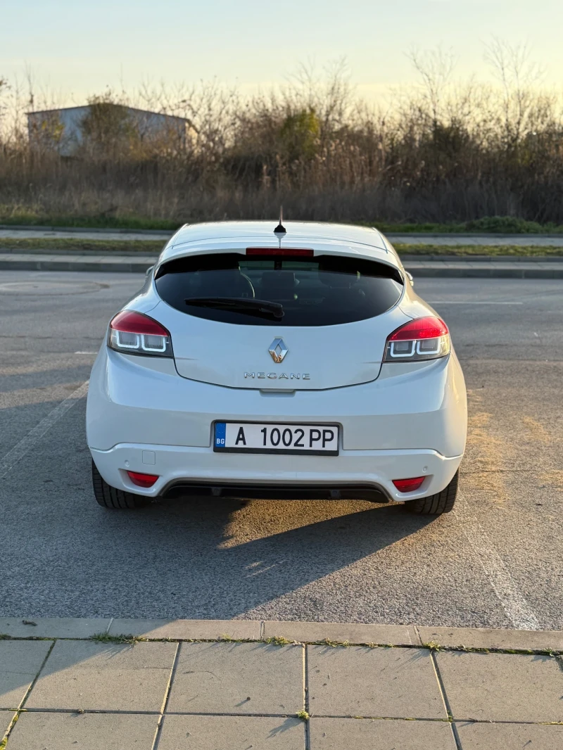 Renault Megane 1.9 dci, снимка 3 - Автомобили и джипове - 52890823