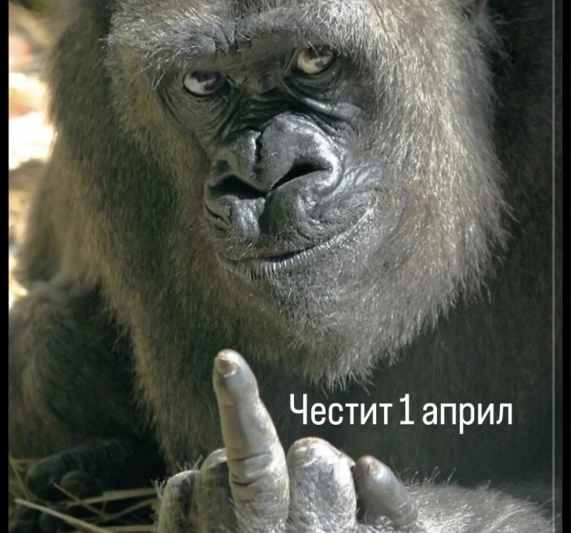 BMW 525, снимка 2 - Автомобили и джипове - 54056677