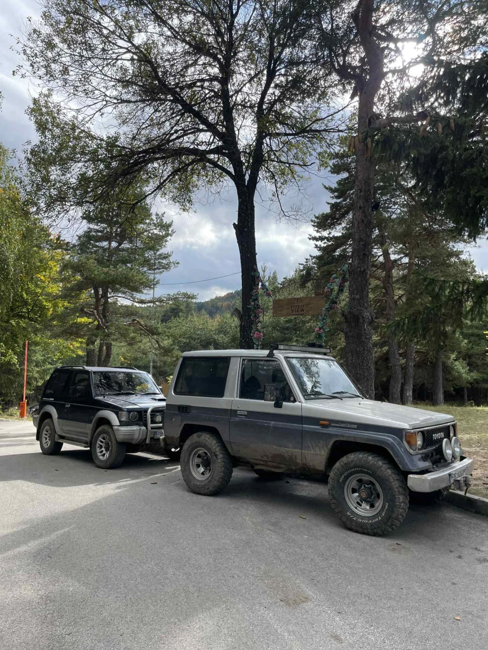 Toyota Land cruiser  - изображение 2