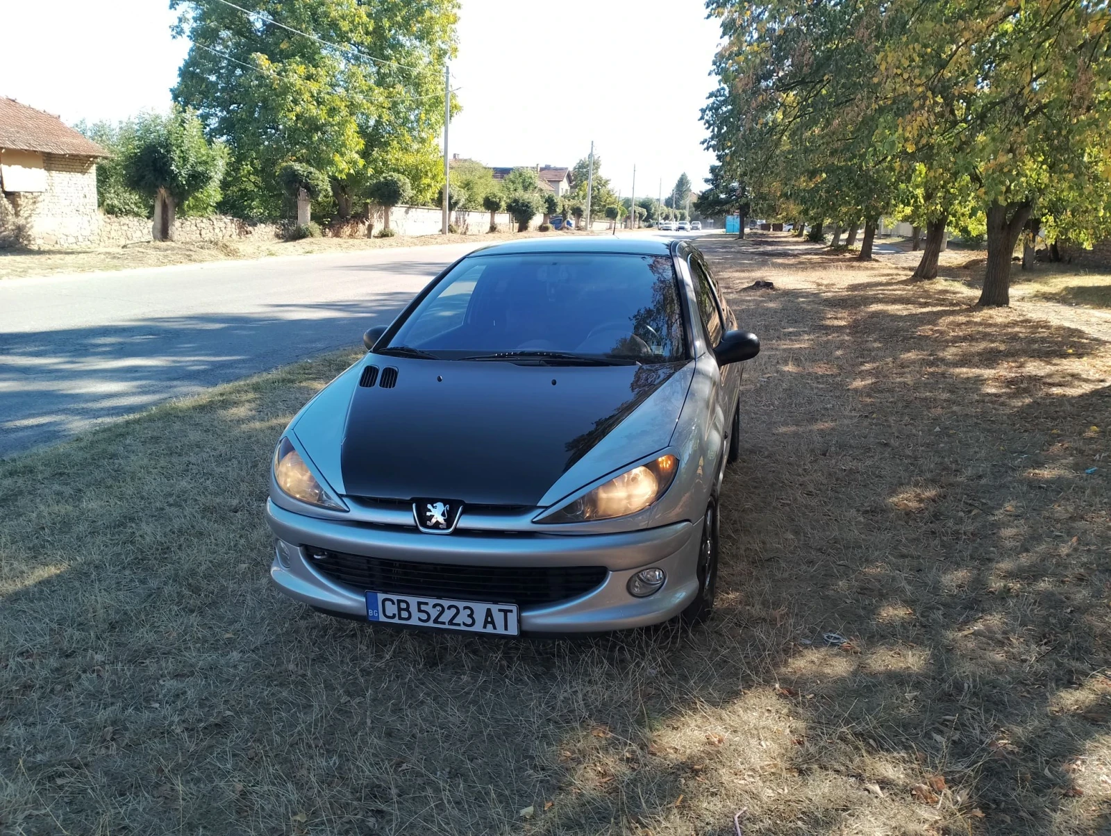 Peugeot 206 2.0 , снимка 6 - Автомобили и джипове - 56410443