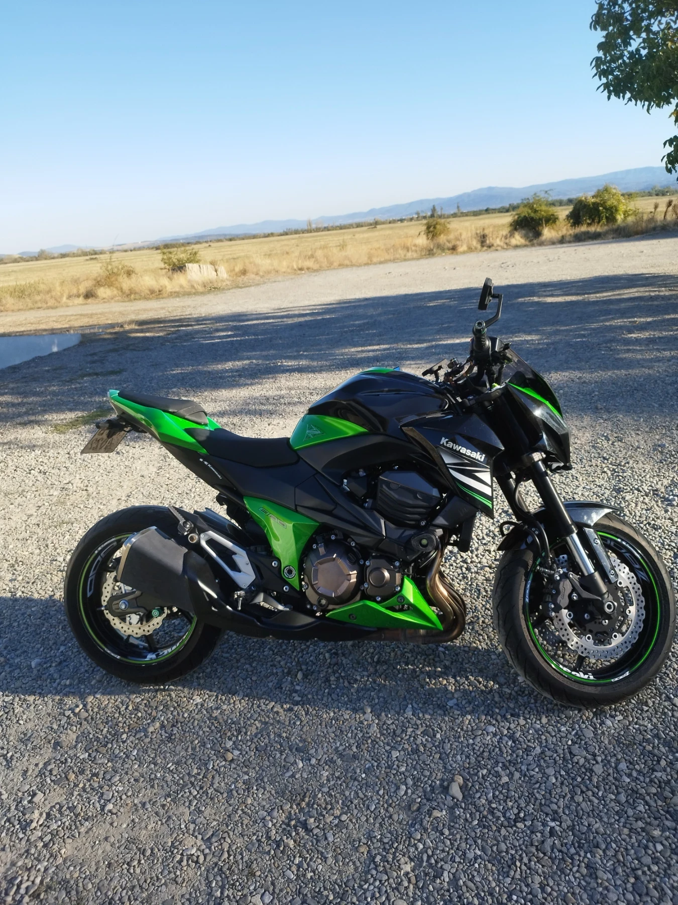 Kawasaki Z Z800 - изображение 8