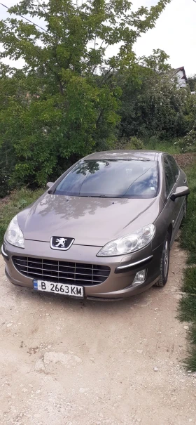 Peugeot 407 RHRH | Mobile.bg    9