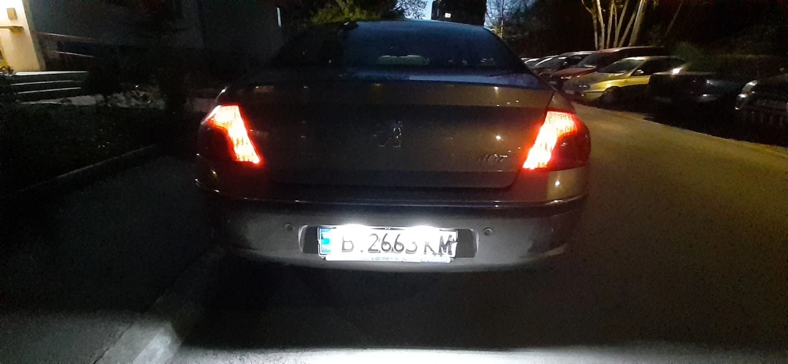 Peugeot 407 RHRH - изображение 10