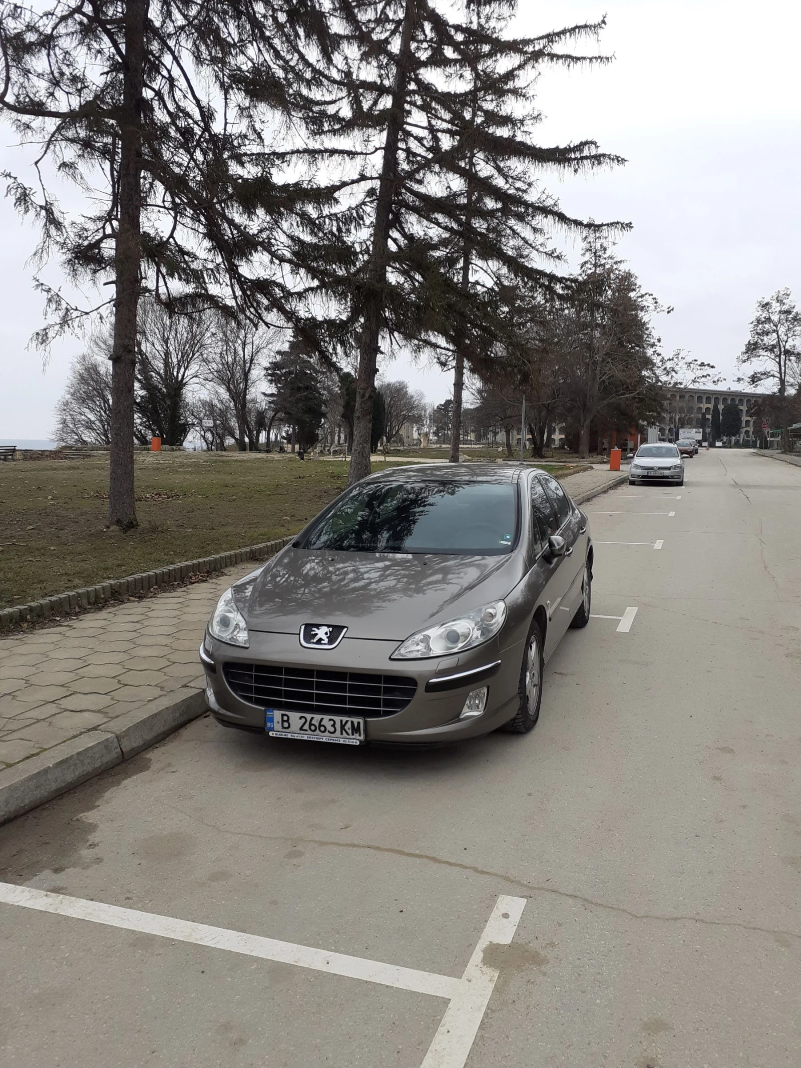 Peugeot 407 RHRH - изображение 3
