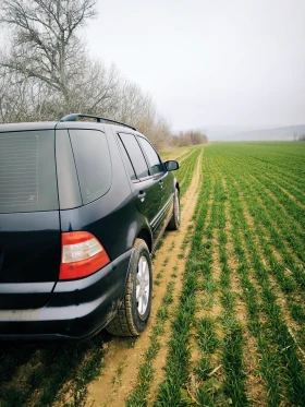 Mercedes-Benz ML 270 | Mobile.bg    3