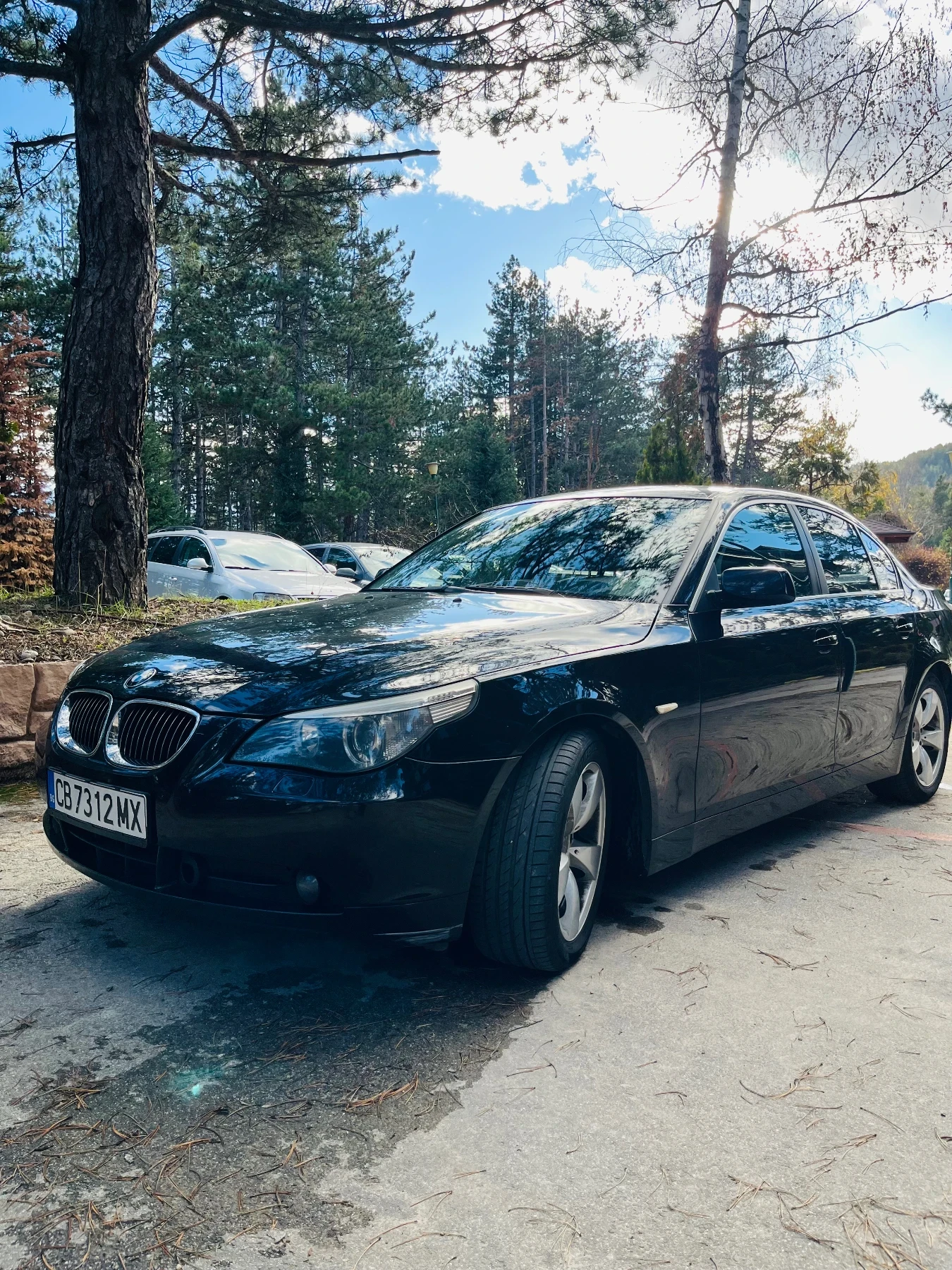 BMW 525 LPG Head up display, Night vision | Mobile.bg   14