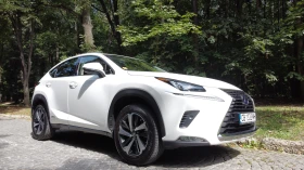 Lexus NX 300h Luxury Premium, снимка 1