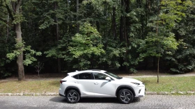 Lexus NX 300h Luxury Premium, снимка 8