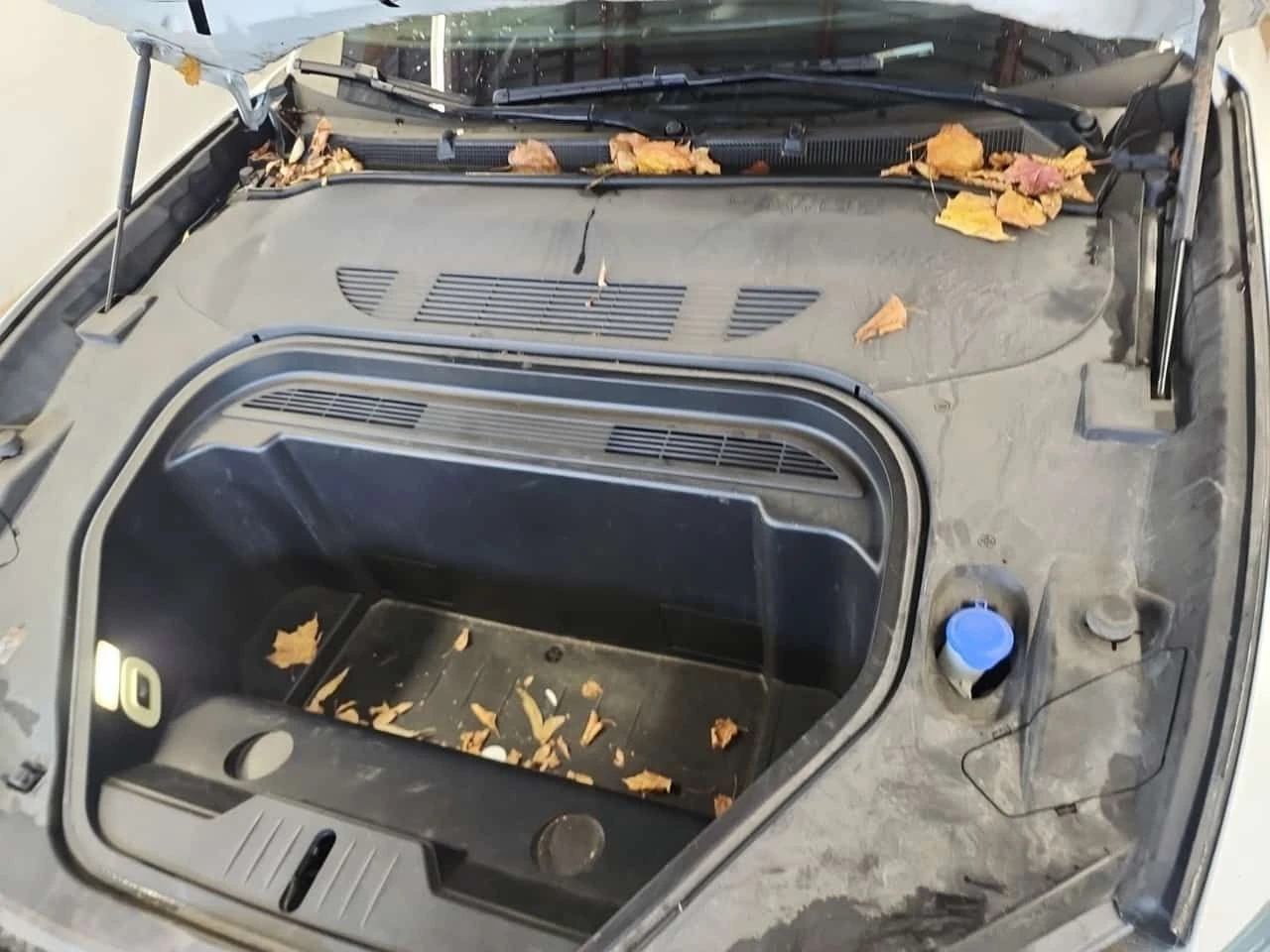 Ford Mustang Mach-E * SELECT * BLIND SPOT* ПОДГРЕВ* , снимка 16 - Автомобили и джипове - 53952968