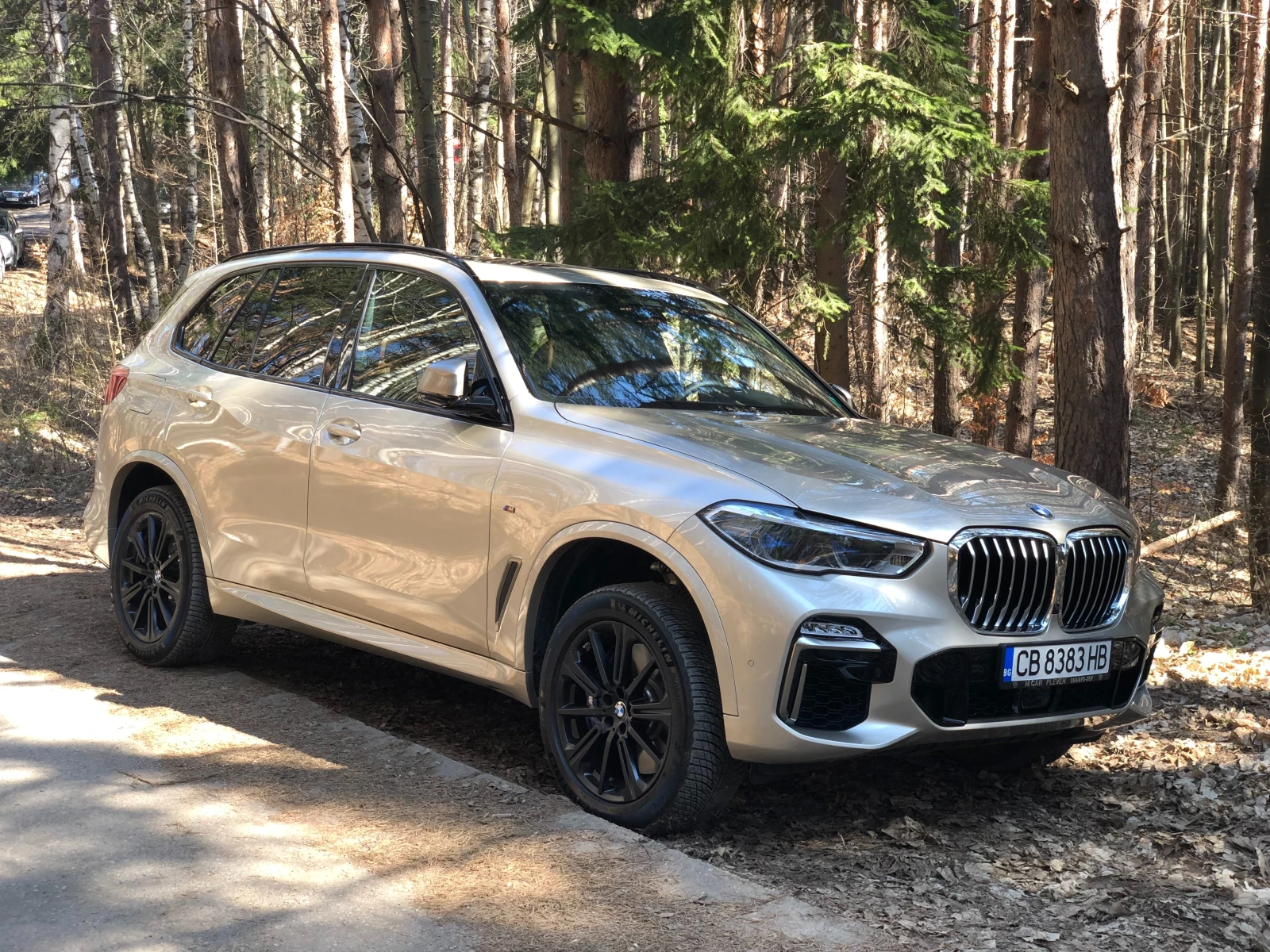 BMW X5 M50d Individual| Innovation| Laser| HarmanKardon| , снимка 9 - Автомобили и джипове - 53858840