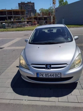  Peugeot 307